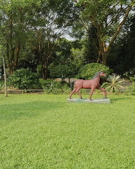 Most Safe & Rated Hotel In Dhaka.